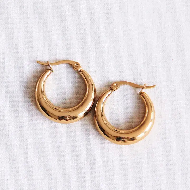 Stainless Steel Hoops