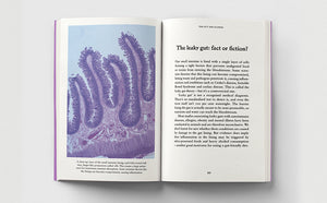 The Gut - A Pocket Primer
