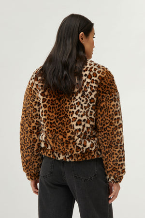 Compania Fantastica Leopard Bomber