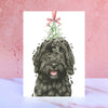 Cockapoo Christmas Card