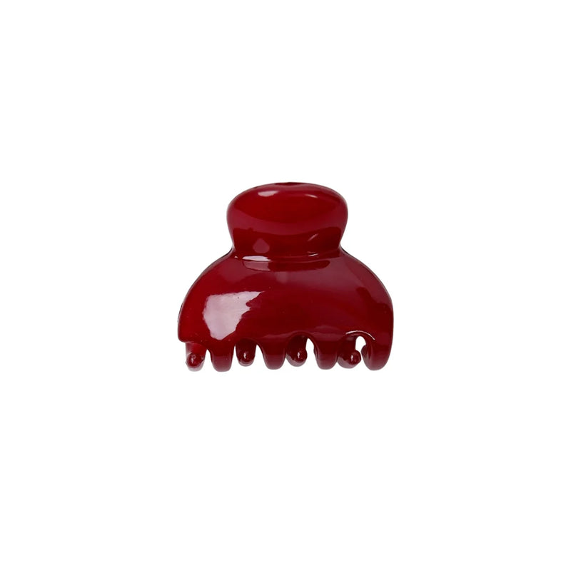 Black Colour Vale Small Hair Claw