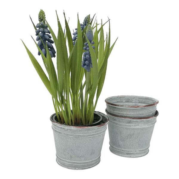 Terrace & Garden Zinc Plant Pot