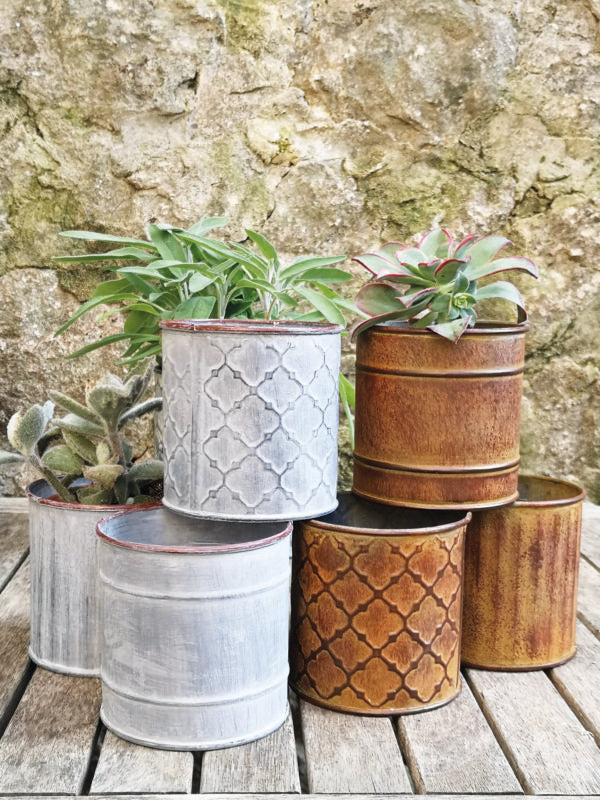 Terrace & Garden Cactus Pots