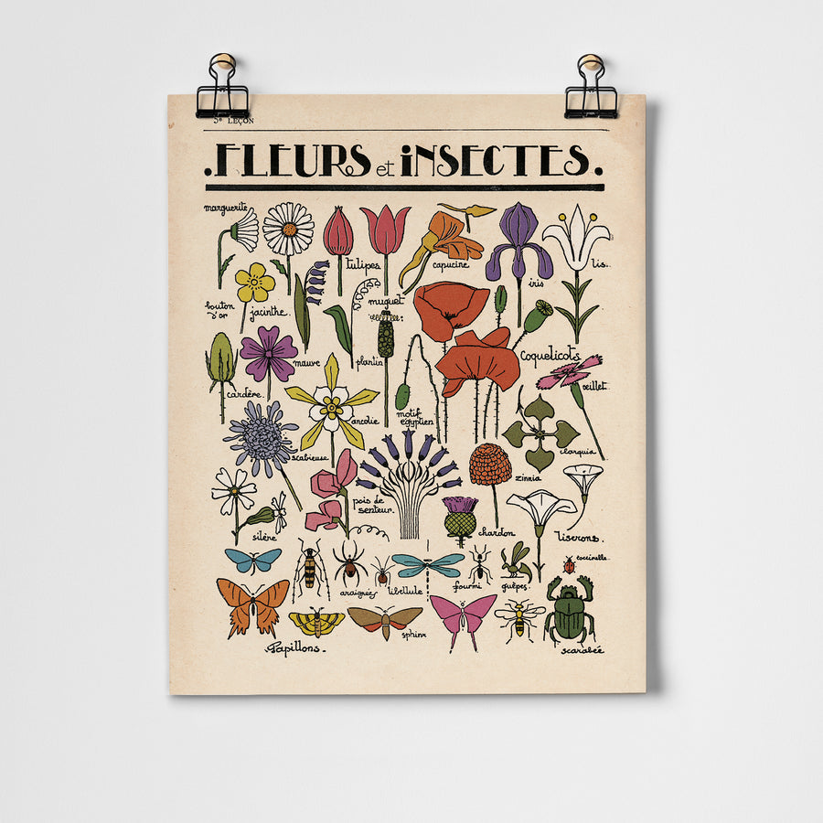 Fleurs et Insectes Print