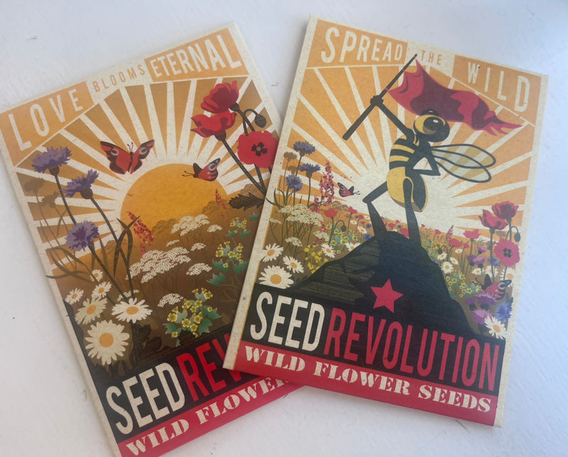 Seed Revolution Wild Flower Seeds Scatter Packet