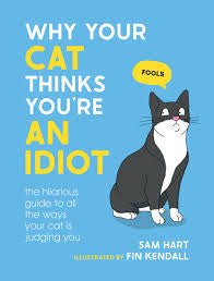 What Your Cat Thinks You're An Idiot