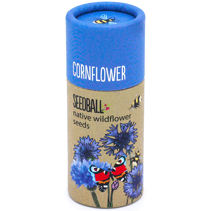 Seedball Wildflower Seeds