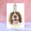 Springer Spaniel Mistletoe Christmas Card