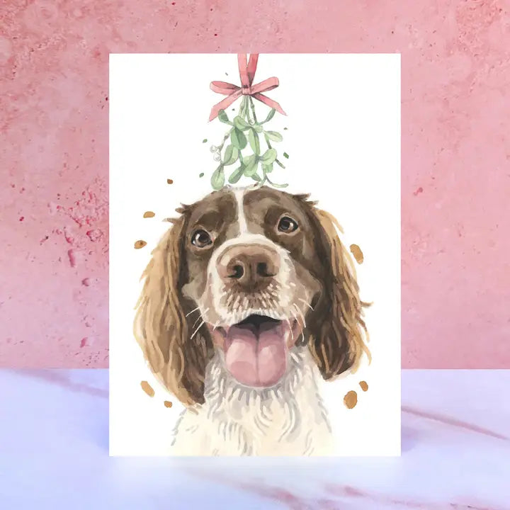 Springer Spaniel Mistletoe Christmas Card