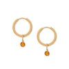 Amber Hoops