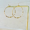 Stainless Steel Hoop Earrings - Cream & Gold