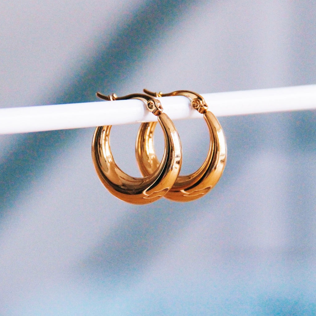 Stainless Steel Hoops