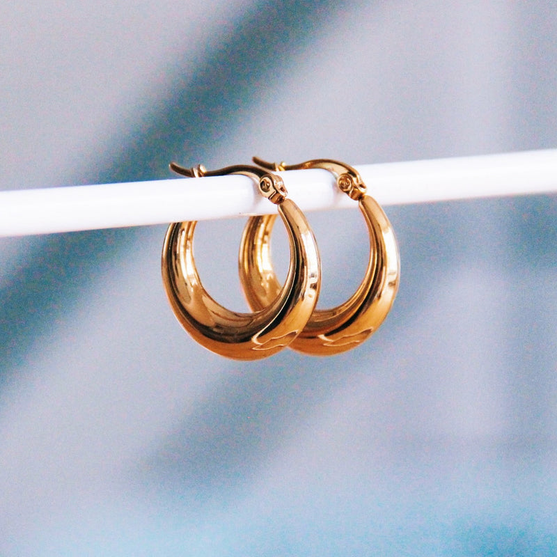 Stainless Steel Hoops