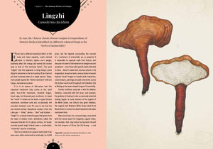 The Magic of Mushrooms Book