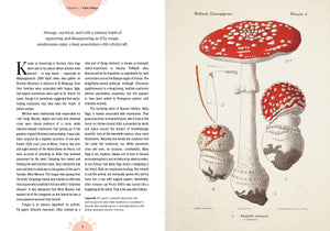 The Magic of Mushrooms Book