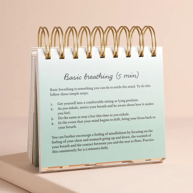 Lisa Angel Mindfulness Flip Chart