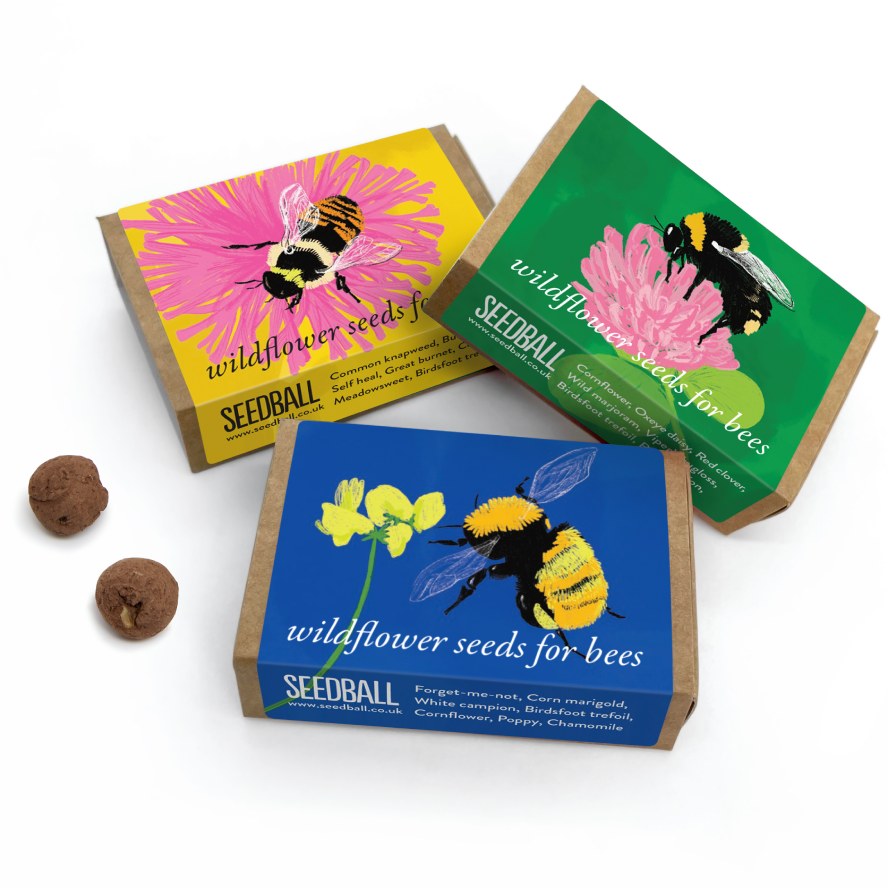 Seedball Wildflower Seeds for Bees