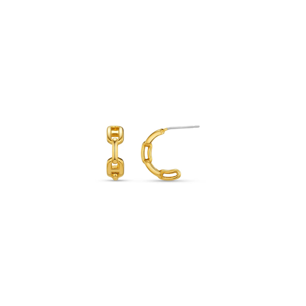 Orelia Chain Small Hoop Earrings