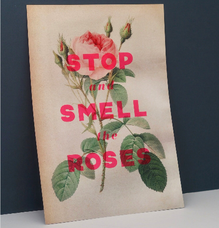 Basil & Ford Stop and Smell the Roses print