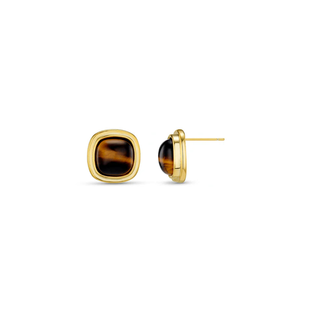 Orelia Semi Precious Tiger's Eye Square Stud Earrings