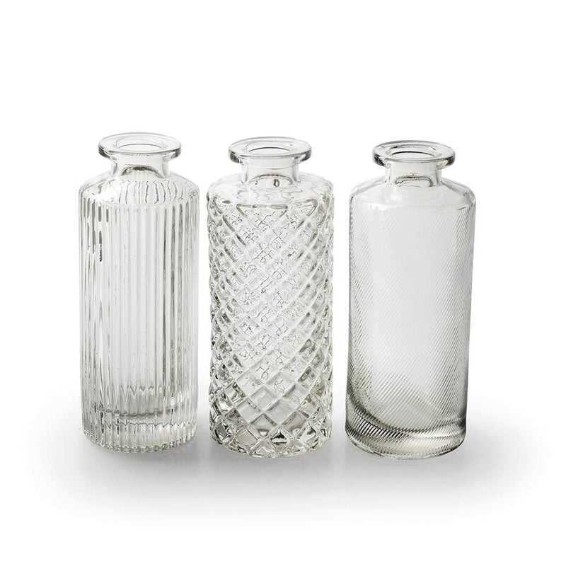 Alanis Clear Glass Bottle Vases