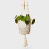 Calm Club Hang Time Macrame Kit