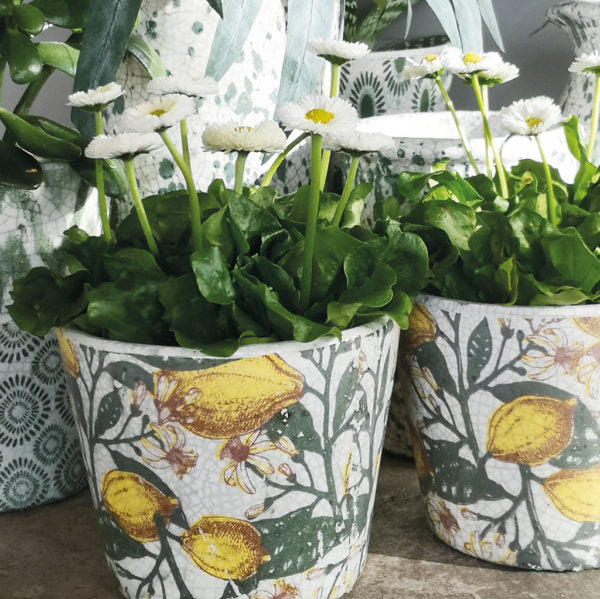 Terrace & Garden Spanish Lemons Plant Pot