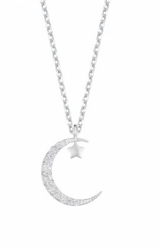 Estella Bartlett Moon and Star Necklace