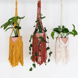 Stitch Happy Deluxe Make Your Own Mustard Macrame Plant Kit
